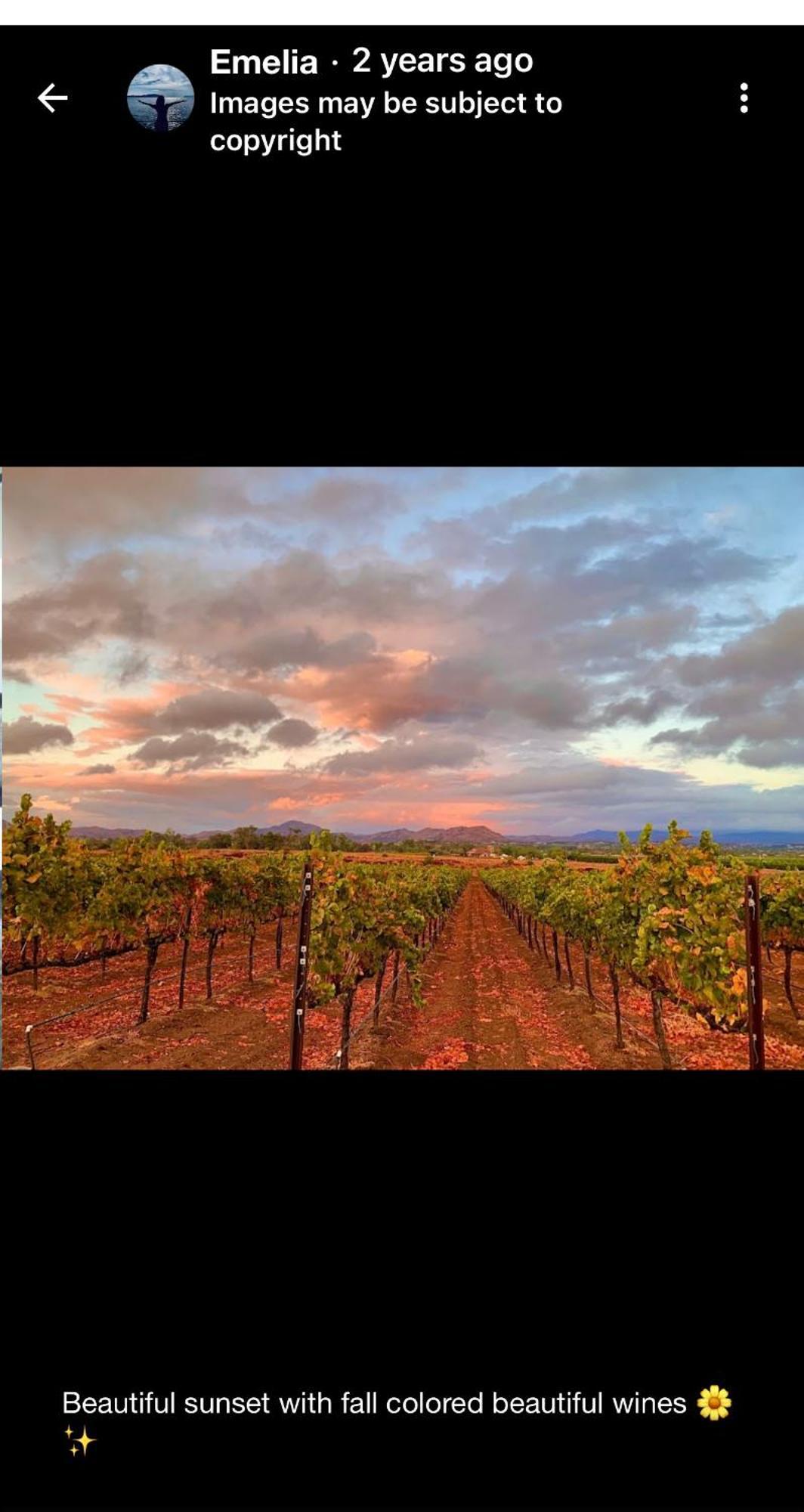 Balloons And Wine Murrieta Luaran gambar